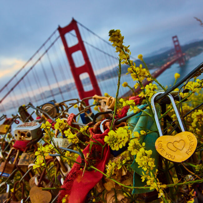 handlery hotel love locks forever